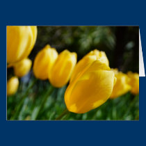 Notes of Spring  ~ Tulips! cards
