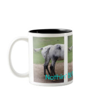 Nothin' BUTT Appaloosas mug