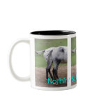 Nothin' BUTT Appaloosas mug