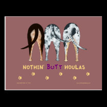 Nothin' Butt Catahoulas PostCards postcards