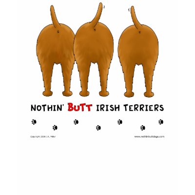 nothin_butt_irish_terriers_light_t_shirt-p235212828068275659uh4j_400.jpg