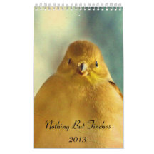 Nothing But Finches Calendar 2013