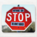 Nothing Can STOP th Honey Badger Mouse Pads