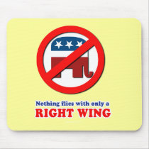 Nothing flies with only a right wing mouse pad