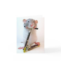 Nothing Is Impossible card