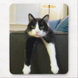 Nothing to Do Mouse Pad