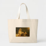 Notre Dame Cathedral Bag