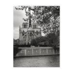 Notre Dame Cathedral Postcard