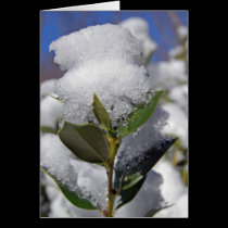 Nourish Me, Tho' you may be cold cards