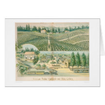 Nouveau Medoc Vineyard and Wine Cellars (1213A) Card