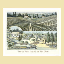 Nouveau Medoc Vineyard and Wine Cellars posters