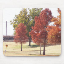 nov,11,09 001 mousepads