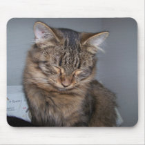 nov,4,09 037 mousepads
