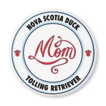 Nova Scotia Duck magnets by cartoondogs Nova Scotia Duck magnets