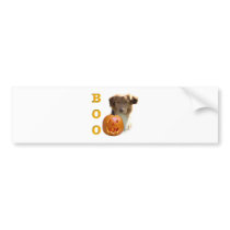 Nova Scotia Duck Tolling Boo bumper stickers by GreyWolfCreation Nova Scotia Duck Tolling Boo bumper stickers