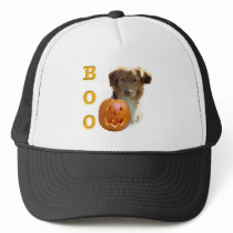 Nova Scotia Duck Tolling Boo hats by GreyWolfCreation Nova Scotia Duck Tolling Boo hats