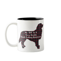 Nova Scotia Duck Tolling Retriever BFF Mug