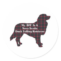 Nova Scotia Duck Tolling Retriever BFF Sticker
