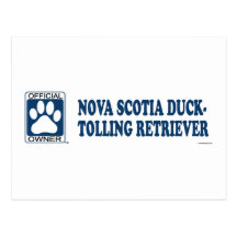 Nova Scotia Duck-Tolling Retriever Blue Postcards
