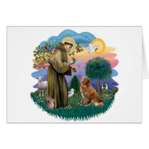 Nova Scotia Duck Tolling Retriever cards