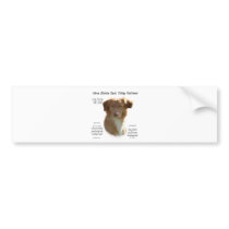 Nova Scotia Duck Tolling Retriever History Design bumper stickers by GreyWolfCreation Nova Scotia Duck Tolling Retriever History Design bumper stickers