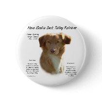 Nova Scotia Duck Tolling Retriever History Design buttons by GreyWolfCreation Nova Scotia Duck Tolling Retriever History Design buttons