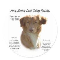 Nova Scotia Duck Tolling Retriever History Design Round Sticker