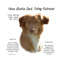 Nova Scotia Duck Tolling Retriever History Design t-shirts by GreyWolfCreation Nova Scotia Duck Tolling Retriever History Design t-shirts