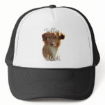 Nova Scotia Duck Tolling Retriever Mom 2 hats