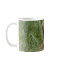 Nova Scotia Duck Tolling Retriever Coffee Mugs