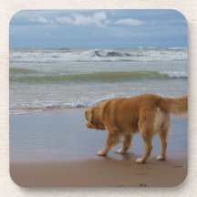 Nova Scotia Duck Tolling Retriever Ocean Cautious Coasters