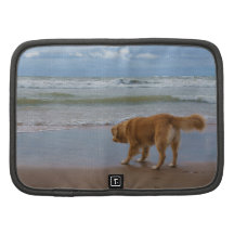 Nova Scotia Duck Tolling Retriever Ocean Cautious Organizer