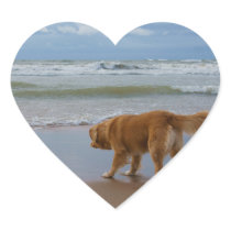 Nova Scotia Duck Tolling Retriever Ocean Cautious Heart Sticker
