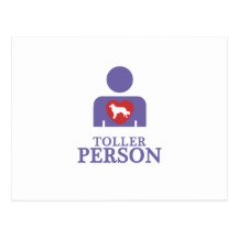 Nova Scotia Duck Tolling Retriever Post Card