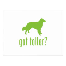 Nova Scotia Duck Tolling Retriever Post Card