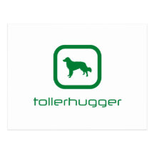 Nova Scotia Duck Tolling Retriever Post Cards