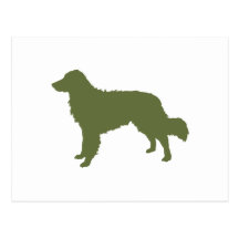 Nova Scotia Duck Tolling Retriever Post Cards