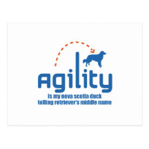 Nova Scotia Duck Tolling Retriever Post Cards