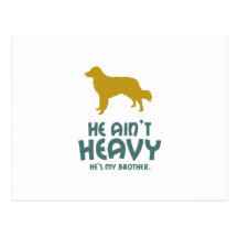 Nova Scotia Duck Tolling Retriever Post Cards