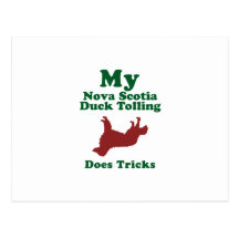 Nova Scotia Duck Tolling Retriever Post Cards