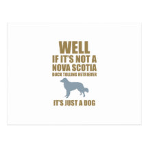 Nova Scotia Duck Tolling Retriever Post Cards
