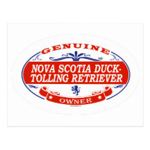 Nova Scotia Duck-Tolling Retriever  Post Cards