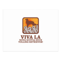 Nova Scotia Duck Tolling Retriever Post Cards
