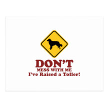 Nova Scotia Duck Tolling Retriever Post Cards