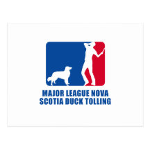 Nova Scotia Duck Tolling Retriever Postcard