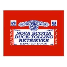 Nova Scotia Duck-Tolling Retriever Postcards