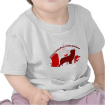 Nova Scotia Duck Tolling Retriever Shirt
