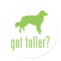 Nova Scotia Duck Tolling Retriever Sticker