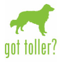 Nova Scotia Duck Tolling Retriever t-shirts by Pawdboy Nova Scotia Duck Tolling Retriever t-shirts