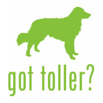 Nova Scotia Duck Tolling Retriever t-shirts by Pawdboy Nova Scotia Duck Tolling Retriever t-shirts